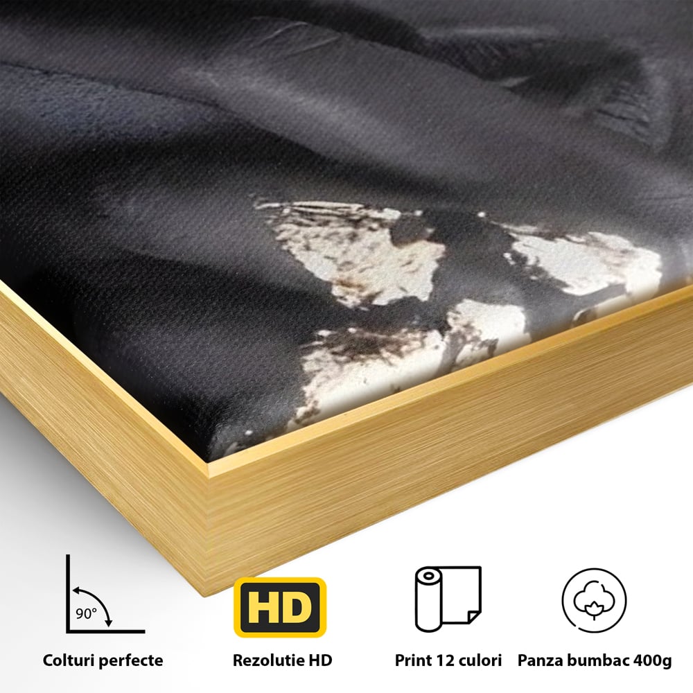 Detaliu al suprafetei: tablou canvas cu portret de femeie, in rama de aluminiu auriu
